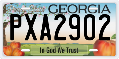 GA license plate PXA2902