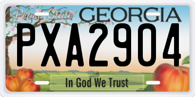 GA license plate PXA2904