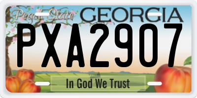 GA license plate PXA2907
