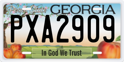 GA license plate PXA2909