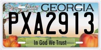 GA license plate PXA2913