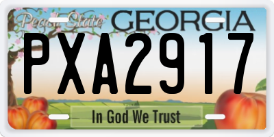GA license plate PXA2917