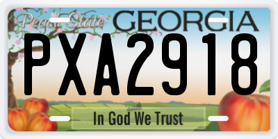 GA license plate PXA2918