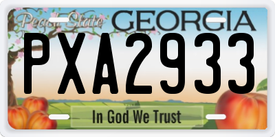 GA license plate PXA2933