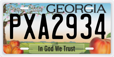 GA license plate PXA2934