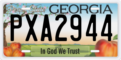 GA license plate PXA2944