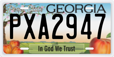 GA license plate PXA2947