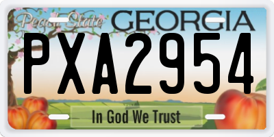 GA license plate PXA2954