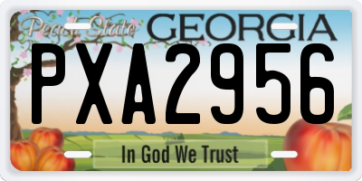 GA license plate PXA2956