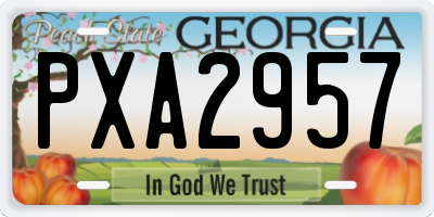 GA license plate PXA2957