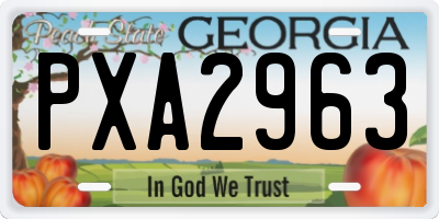 GA license plate PXA2963