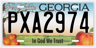 GA license plate PXA2974