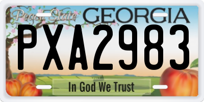 GA license plate PXA2983