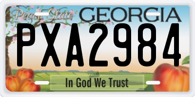 GA license plate PXA2984