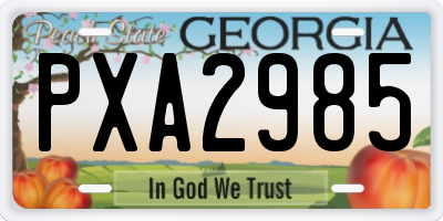 GA license plate PXA2985