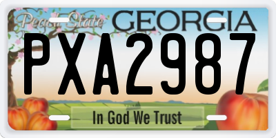 GA license plate PXA2987