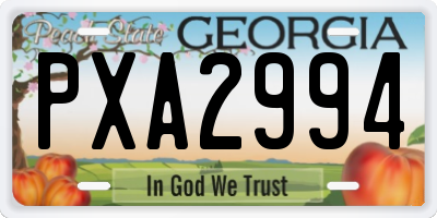 GA license plate PXA2994