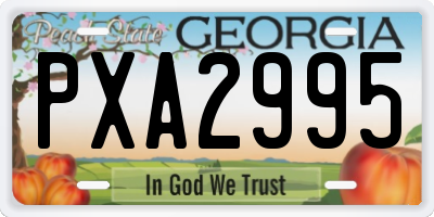 GA license plate PXA2995