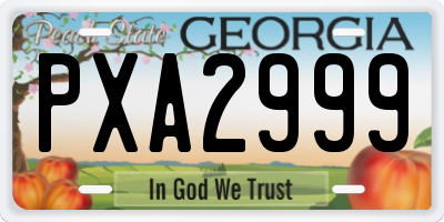 GA license plate PXA2999