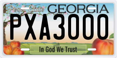 GA license plate PXA3000