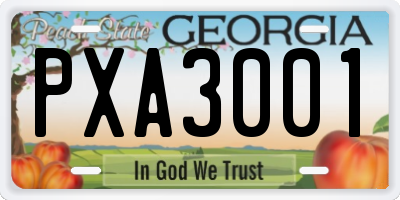 GA license plate PXA3001