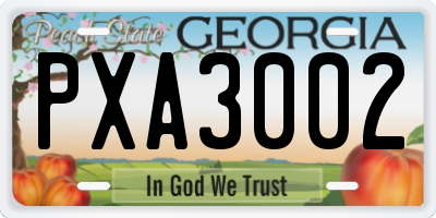 GA license plate PXA3002