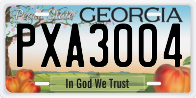 GA license plate PXA3004