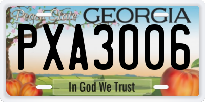 GA license plate PXA3006