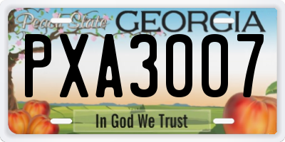 GA license plate PXA3007