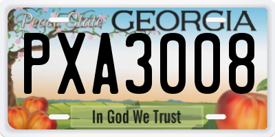 GA license plate PXA3008
