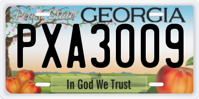 GA license plate PXA3009