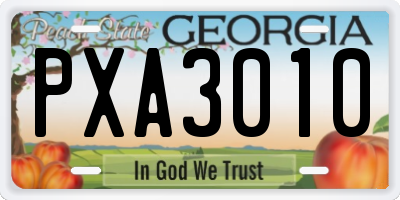 GA license plate PXA3010