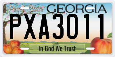 GA license plate PXA3011