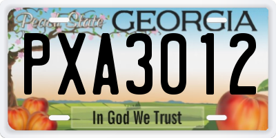 GA license plate PXA3012