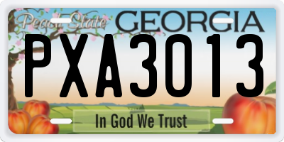 GA license plate PXA3013