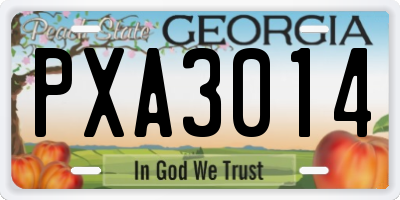 GA license plate PXA3014