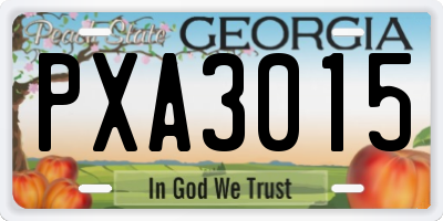 GA license plate PXA3015