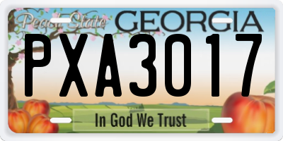 GA license plate PXA3017