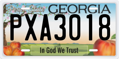 GA license plate PXA3018