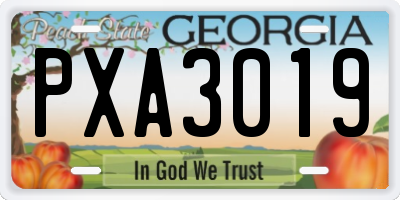 GA license plate PXA3019