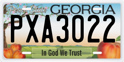 GA license plate PXA3022