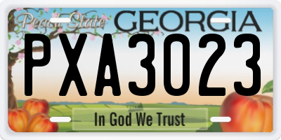 GA license plate PXA3023