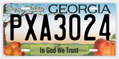 GA license plate PXA3024