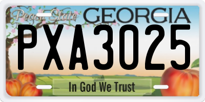 GA license plate PXA3025