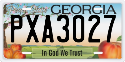 GA license plate PXA3027