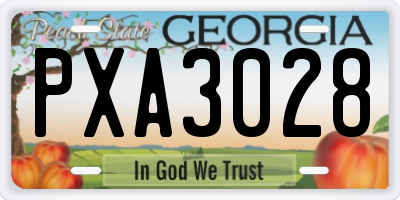 GA license plate PXA3028