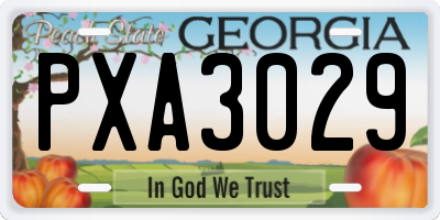 GA license plate PXA3029