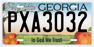 GA license plate PXA3032