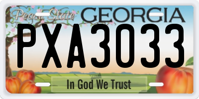 GA license plate PXA3033
