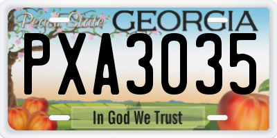 GA license plate PXA3035